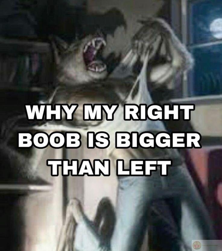 Sói cô độc meme là gì luôn được nhiều người tìm kiếm để hiểu ý nghĩa