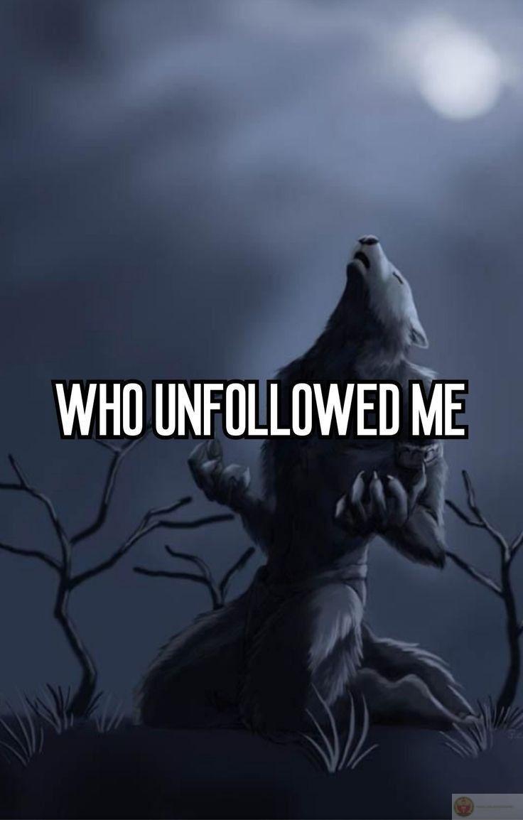 Sói cô độc meme là gì ngày càng được tìm kiếm trong cộng đồng yêu thích meme