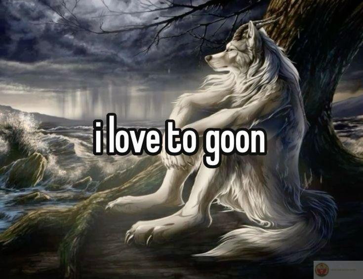 Sói cô độc meme là gì được nhắc đến như một trào lưu giải trí quen thuộc