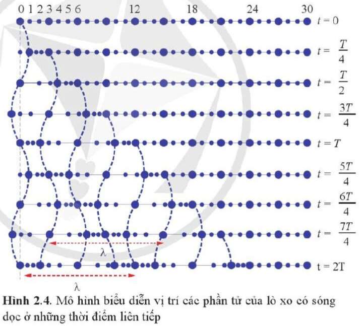 Sóng dọc và sóng ngang - Vật lý 11