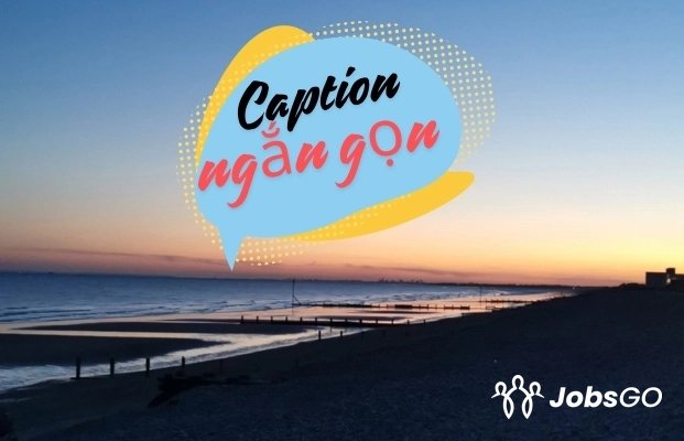 STT hay về cuộc sống - image 3