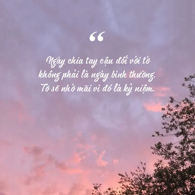 95 stt tạm biệt, lời chia tay nghẹn ngào, xúc động 4