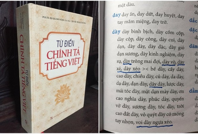 Chuyện từ điển chính tả tiếng Việt sai.. chính tả