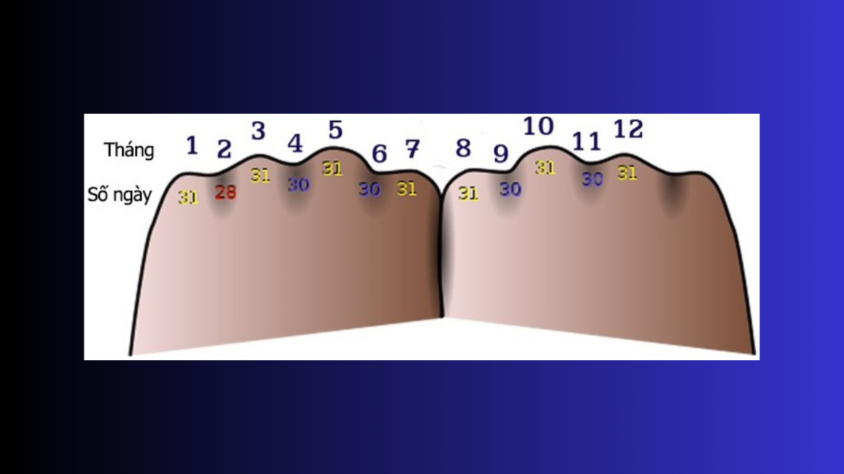 Mẹo tính số ngày trong tháng bằng bàn tay