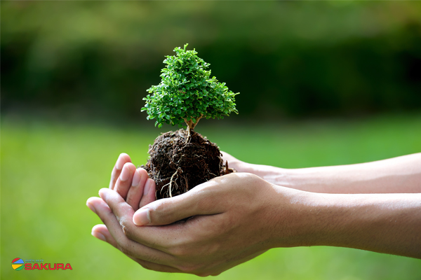 Biện pháp giúp bảo vệ môi trường không khí trong lành