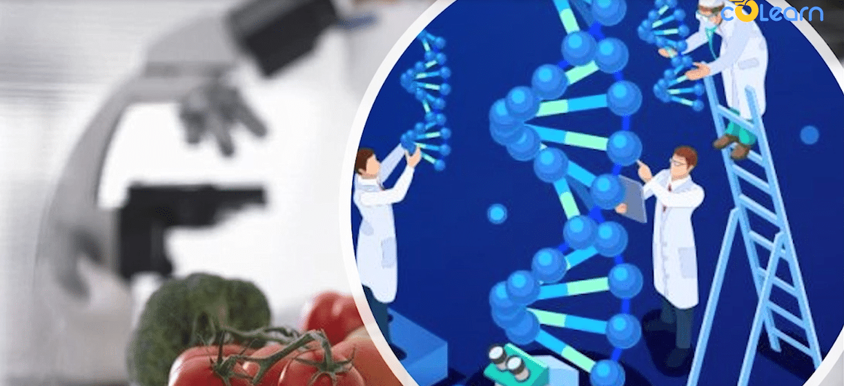 ứng dụng công nghệ gen