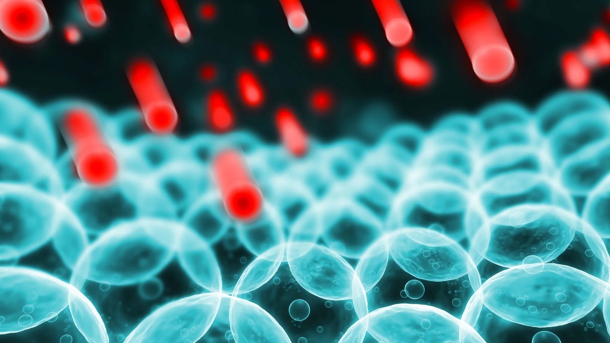 Chất oxi hóa là gì? Thế nào là oxi hóa trong cơ thể?