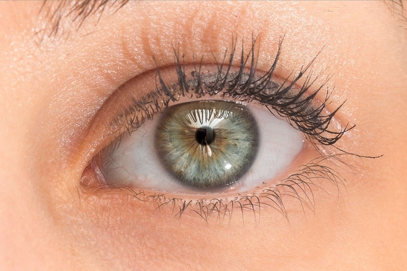 Phản xạ đồng tử là gì? Cơ chế sinh lý và ý nghĩa lâm sàng của phản xạ đồng tử