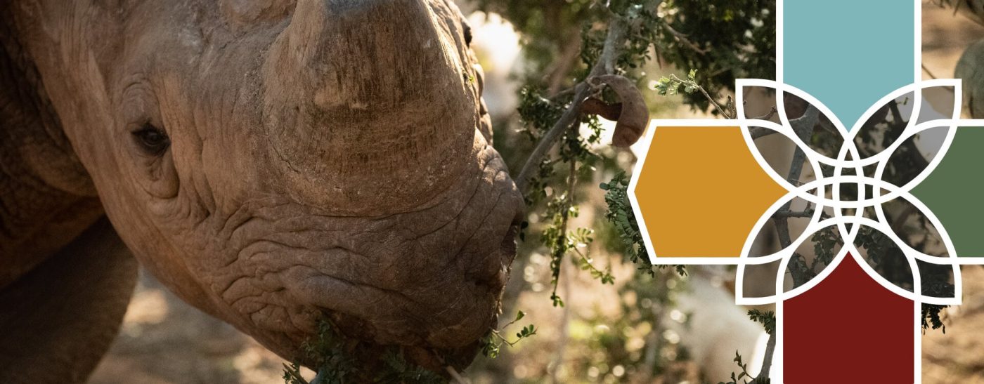 Endangered Species Day