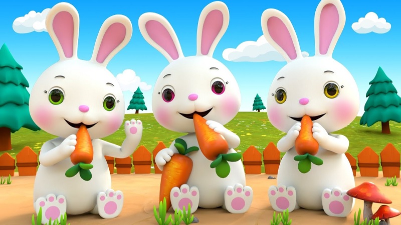 Có nhiều thành ngữ hay về con thỏ trong tiếng Anh. (Ảnh: Sưu tầm internet)