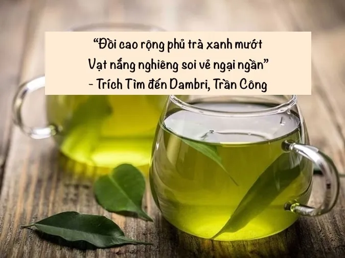 Tuyển tập thơ về trà 4