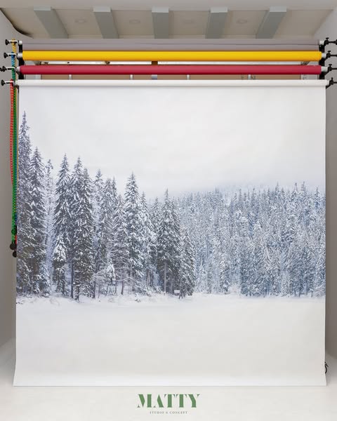 Studio cho thuê giá rẻ