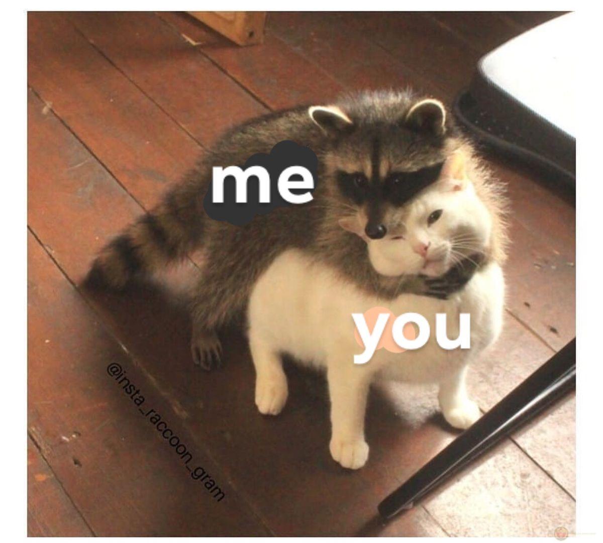 Nếu cậu cần gì đó, hãy cứ nói với tớ