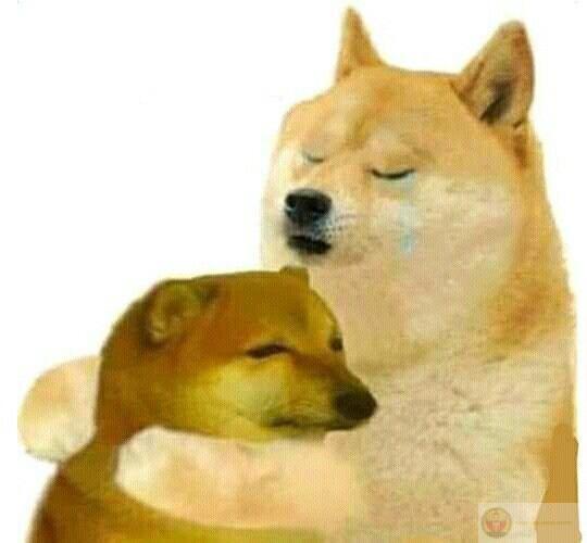 Người mạnh mẽ cũng cần được vỗ về