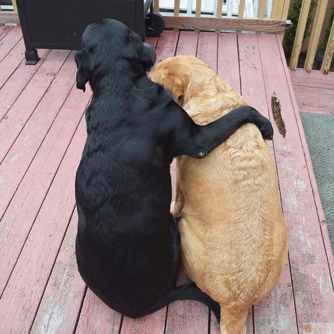 Cậu là người quan trọng, đừng quên điều đó