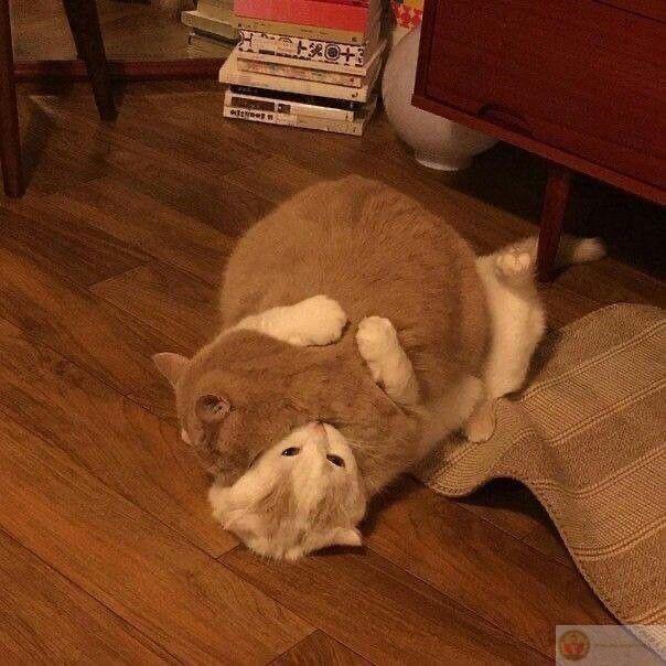 Có những lúc buồn cũng là điều cần thiết