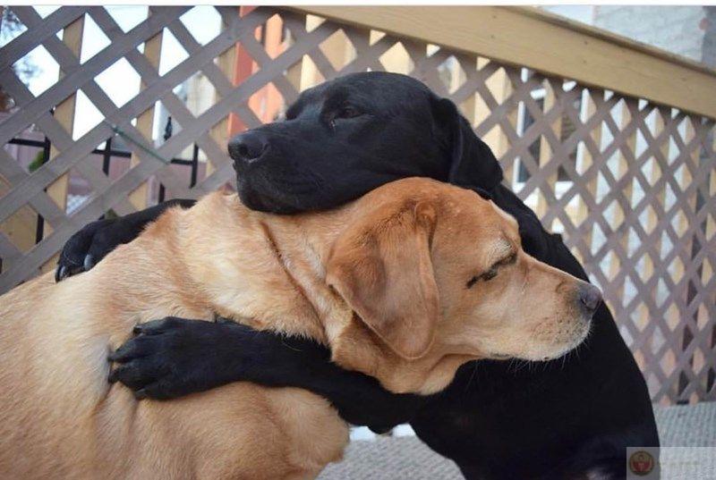 Một người như cậu đáng được yêu thương