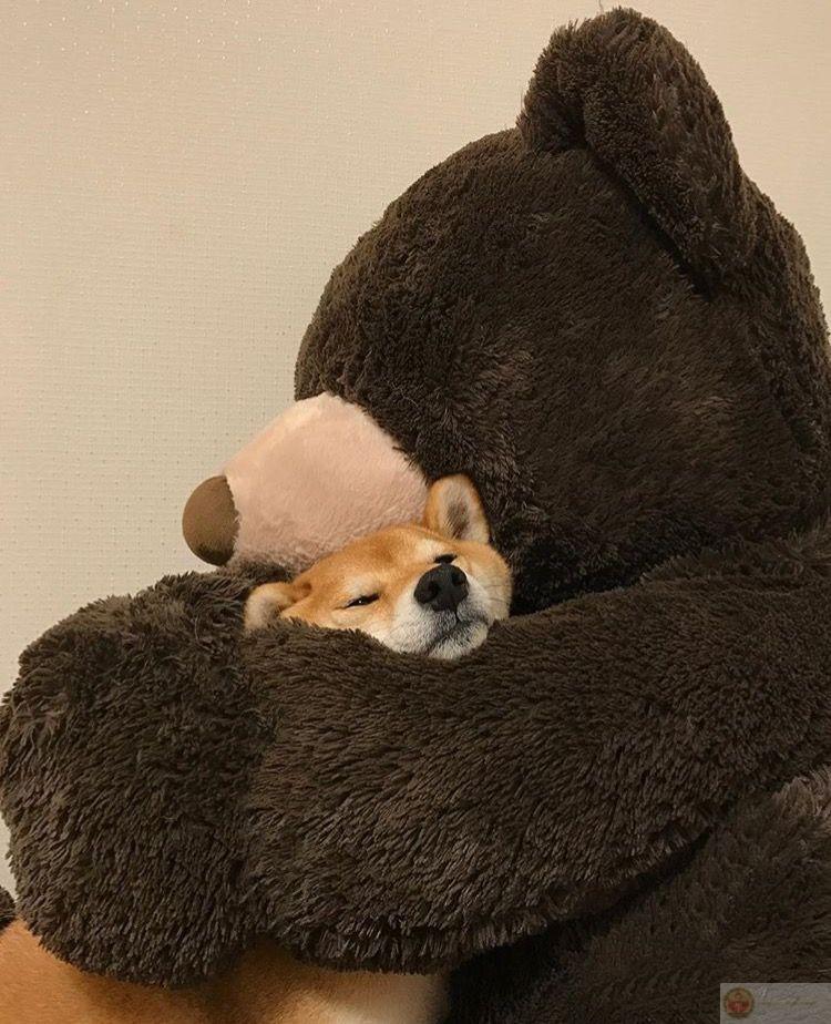 Có những ngày xám, để ta trân trọng ngày nắng