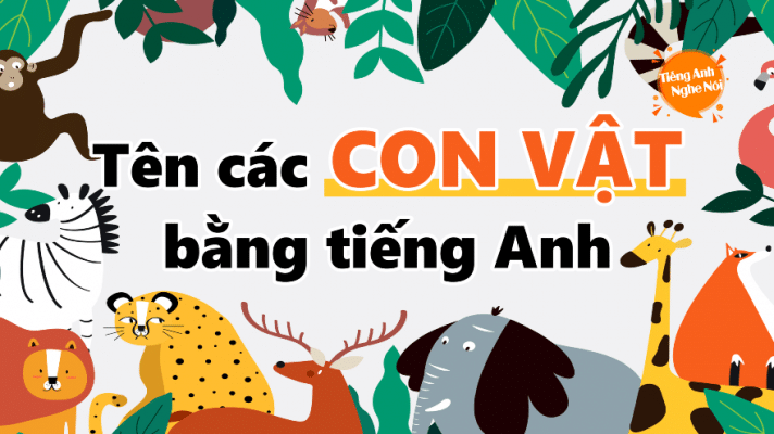 Từ vựng tiếng Anh theo chủ đề: Con vật