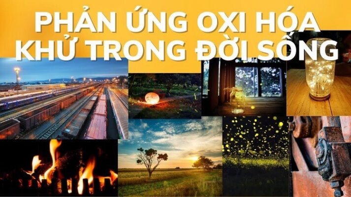 phan-ung-oxi-hoa-khu-trong-doi-song