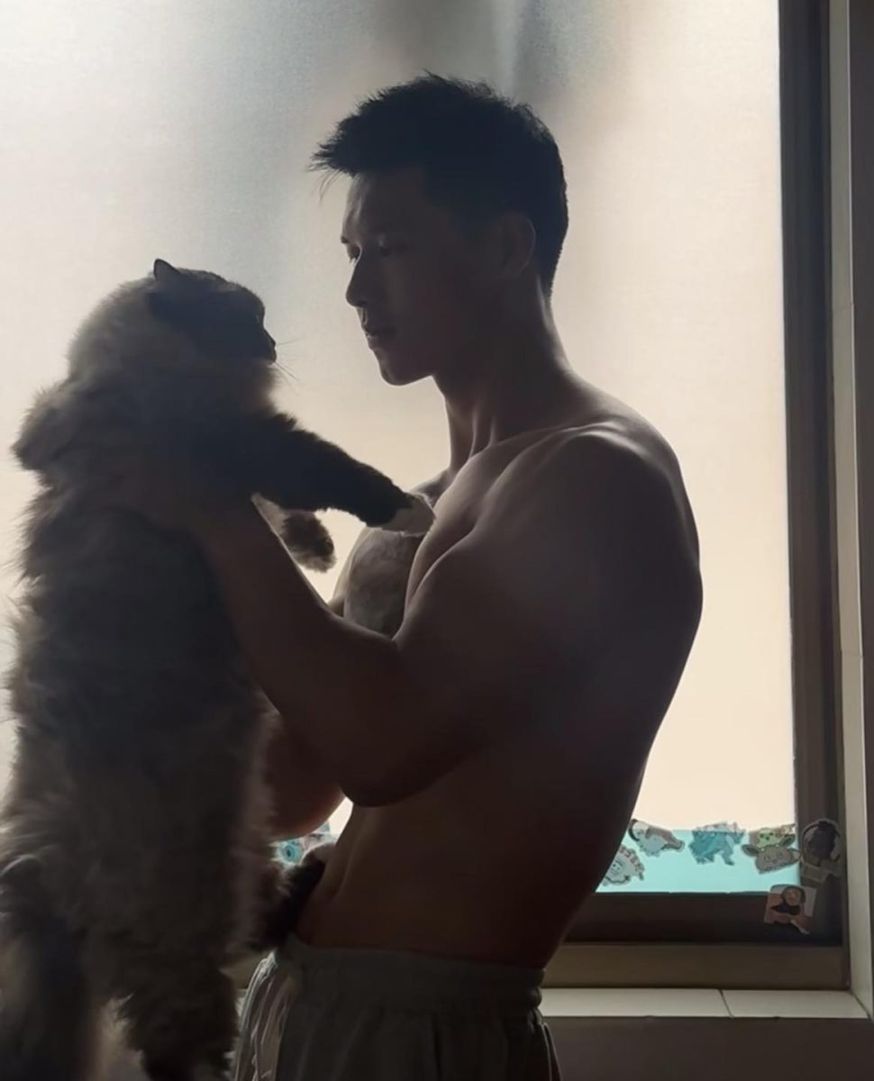 hình ảnh trai đẹp