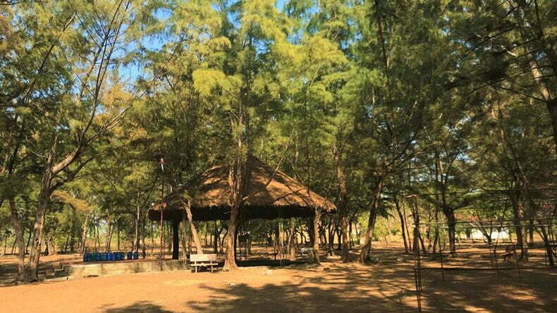 17 diem cam trai dep nhat vietnam rung duong paradise Vung Tau