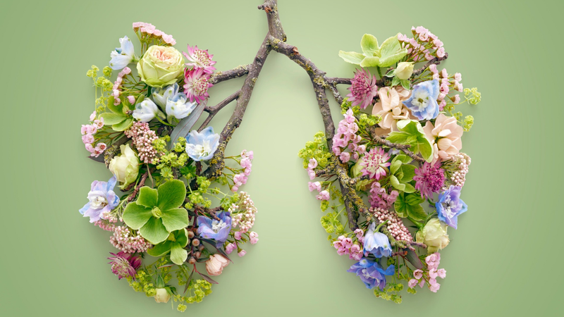 Quá trình trao đổi khí ở người: Cơ chế diễn ra và vai trò đối với sức khỏe