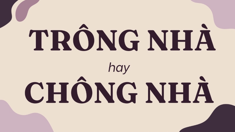 Trông nhà hay chông nhà đúng chính tả? Nghĩa là gì?