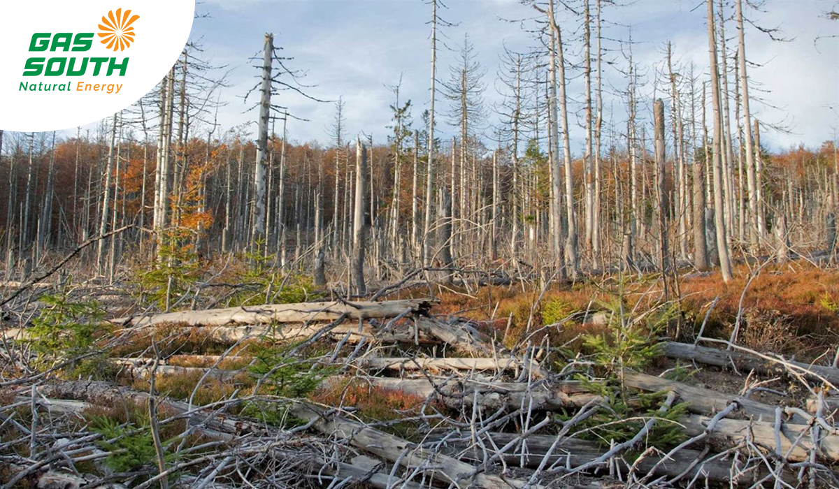 mua-axit-do-khi-thai-cong-nghiep-gay-nen