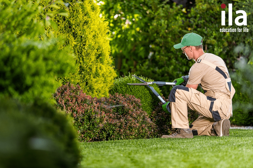 Người làm vườn.