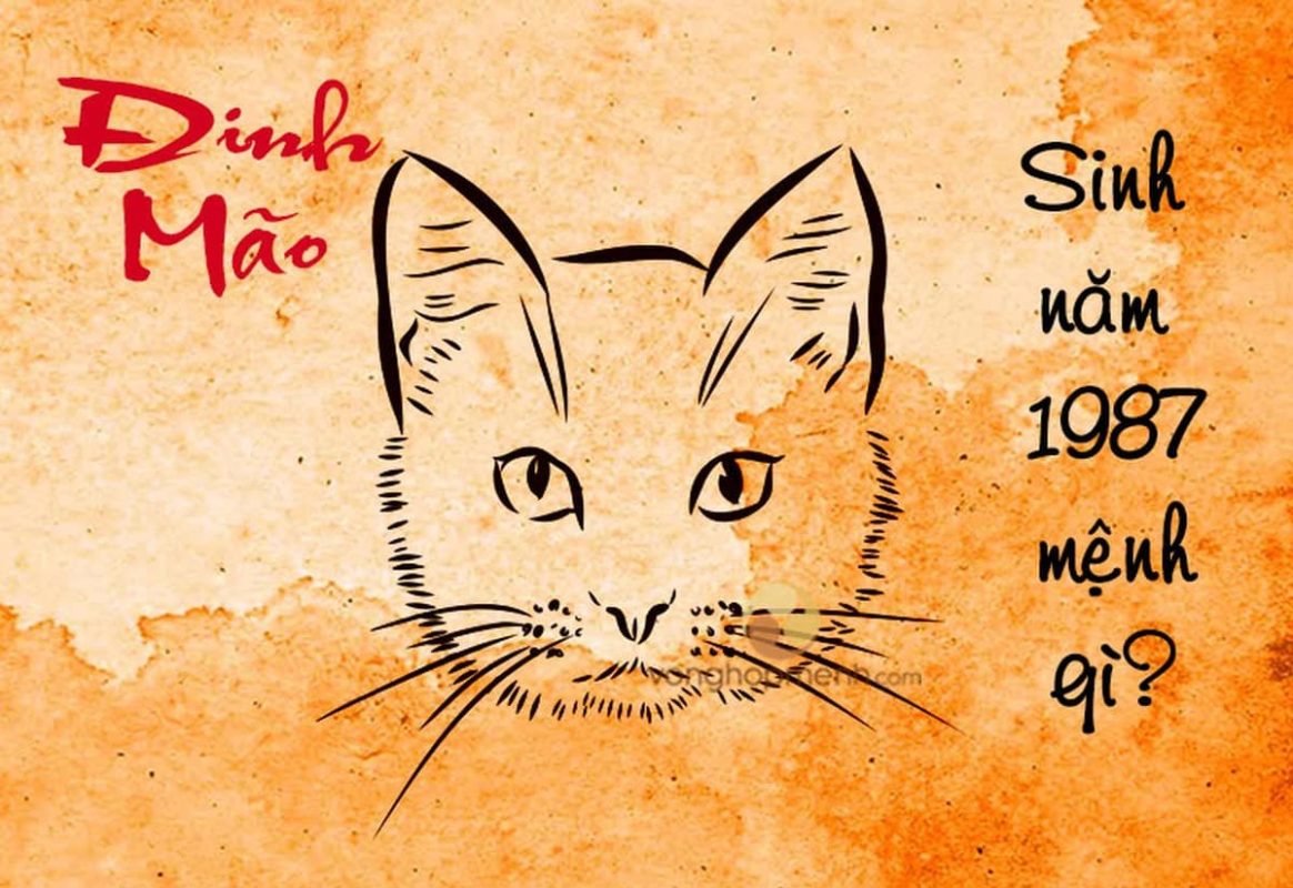 Sinh năm 1987 mệnh gì? Gợi ý lựa chọn xe hợp phong thủy tuổi Đinh Mão.