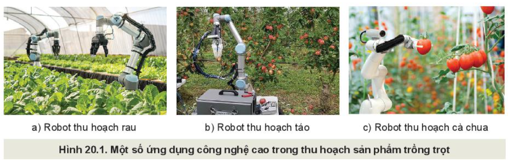 Lý thuyết công nghệ cao trong thu hoạch và bảo quản sản phẩm trồng trọt - Công nghệ 10