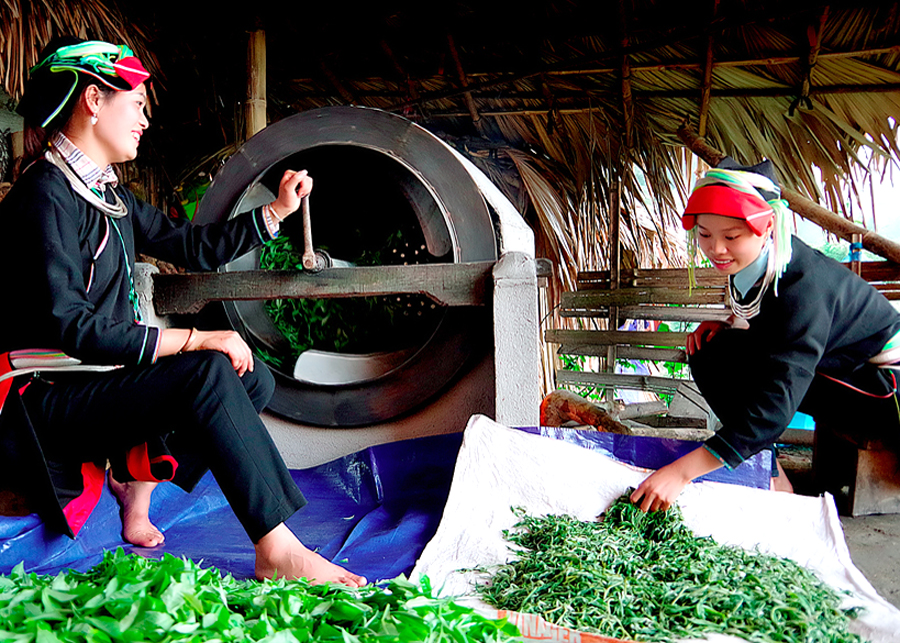 Đông Nam Á: Một “vườn văn hóa” đặc sắc, đa dạng - 2