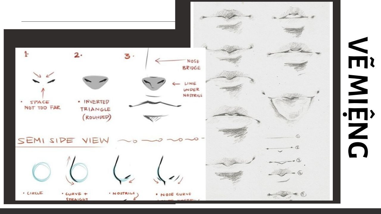 Vẽ miêng và mũi anime