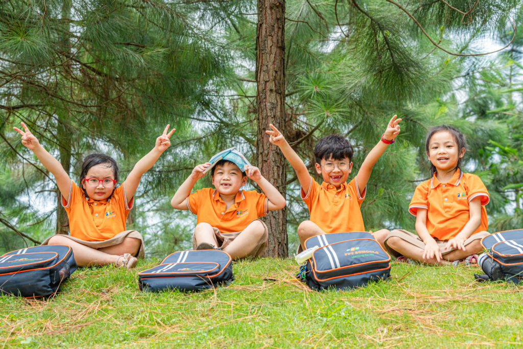 Sử dụng màu sắc để phân biệt các lĩnh vực