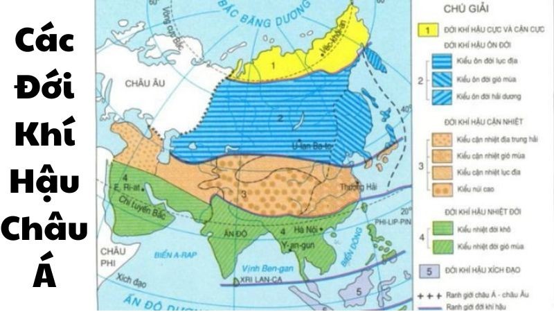 Hội nghị Hữu cơ Châu Á