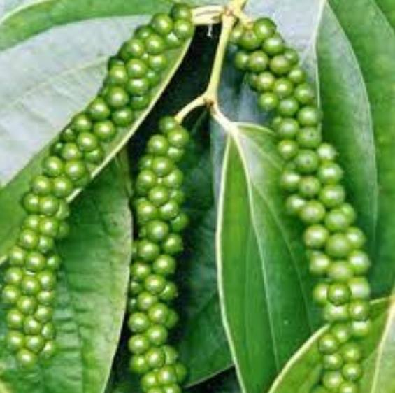 „Vô tiền khoáng hậu….“