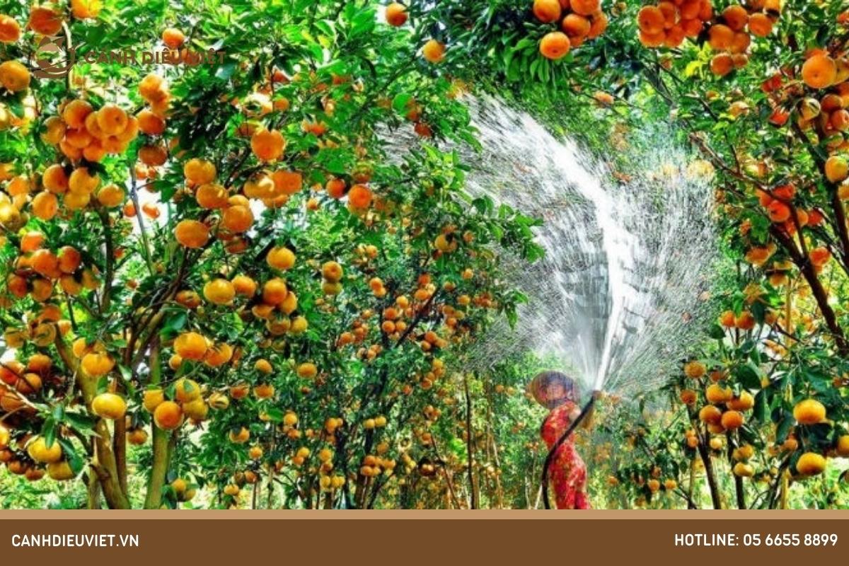 Vùng trồng cây ăn quả lớn nhất nước ta là vùng nào?