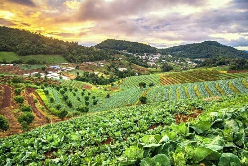 Cải tạo đất trồng