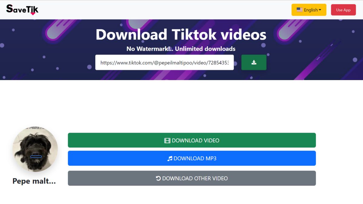 cách xóa logo trên video Tiktok bằng Savetik, bước 3