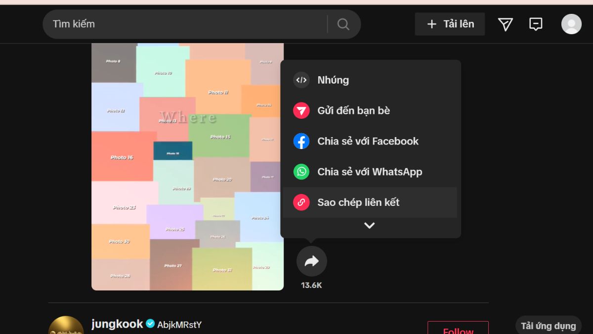 Xóa logo video Tik Tok bằng Snaptik, bước 2