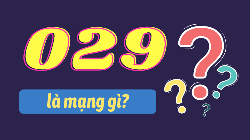 Đầu số 029 là mạng gì? Những thông tin cần biết về đầu số 0289