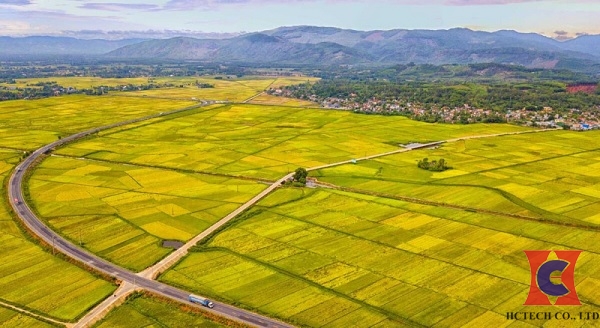 Quy đổi ha sang đơn vị sào, mẫu
