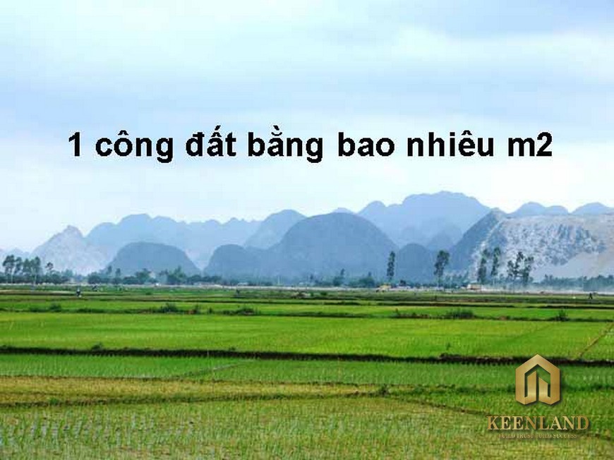 1 ha bằng bao nhiêu m2