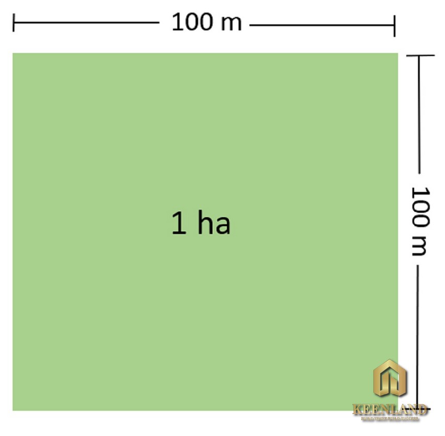 1 ha bằng bao nhiêu m2