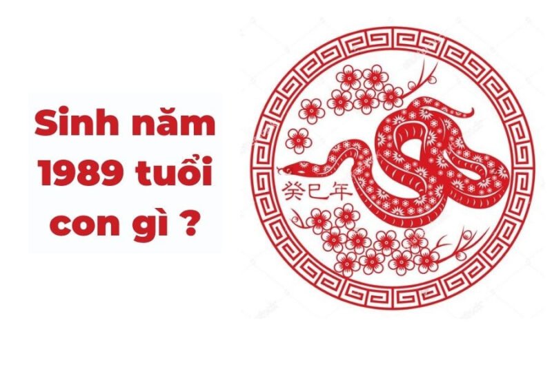 **1989 tuổi con gì, bao nhiêu tuổi và mệnh gì**