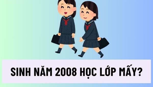tìm hiểu 2k8 học lớp mấy