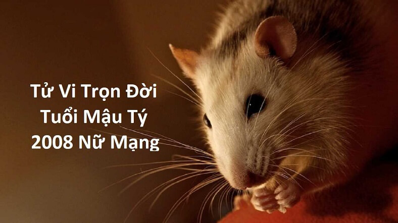 Tử vi trọn đời tuổi Mậu Tý 2008 nữ mạng năm 2022