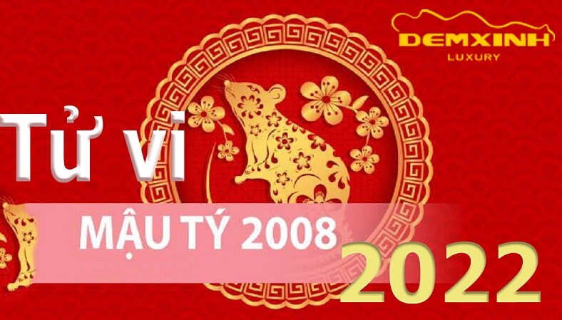 Sự Nghiệp mậu tý 2008 năm 2022