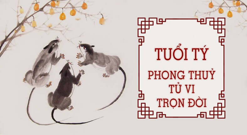 Tuổi Tý 2022 chú ý điều gì?